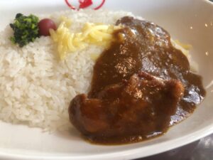 おおきいお肉が入ったチキンカレー